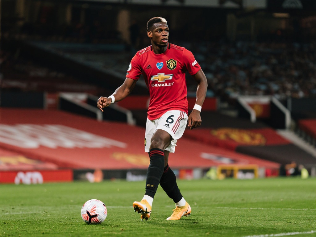 案例分析 案例分析